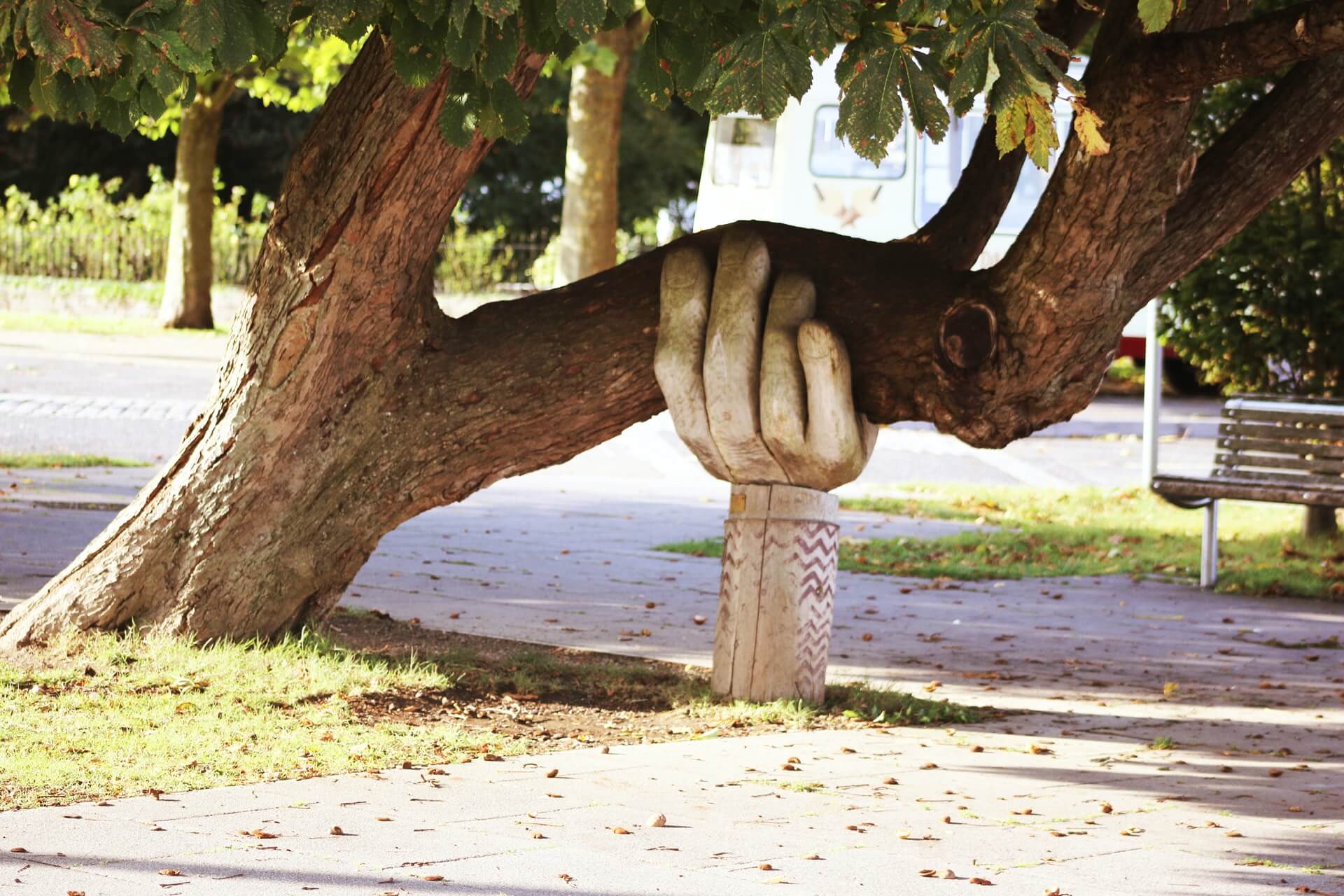a hand-shaped wooden support holding up a huge tree branch as thick as a trunk growing horizontally from tree