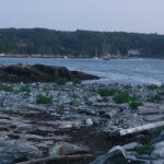 A rocky island beach shore on an island in Maine's Casco Bay